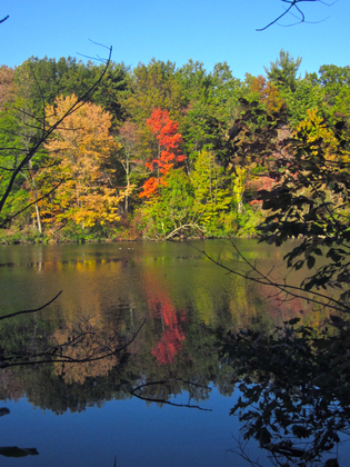 Shaker Lakes